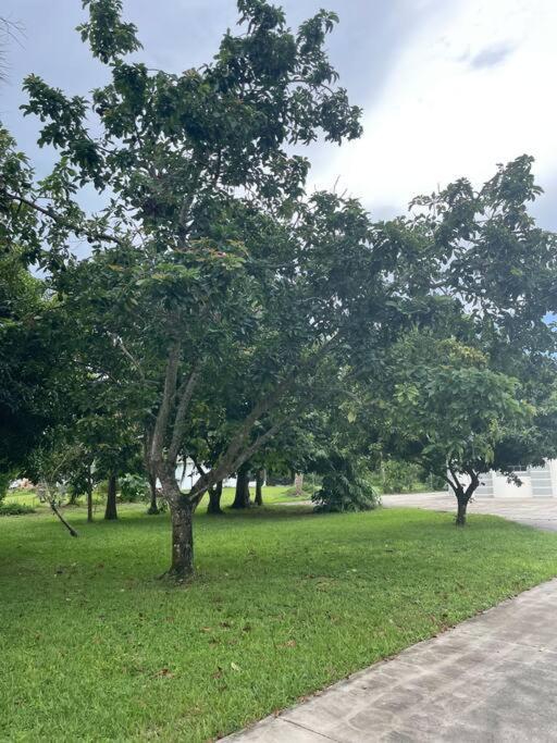 La Finca... Beautiful Countryside Home ! เนเปิลส์ ภายนอก รูปภาพ